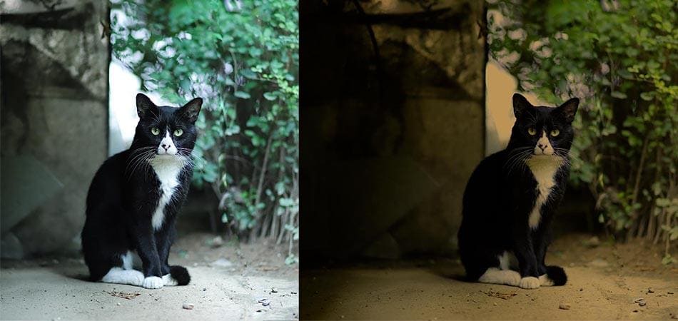 Expert Photo Color Correction & Light Balancing