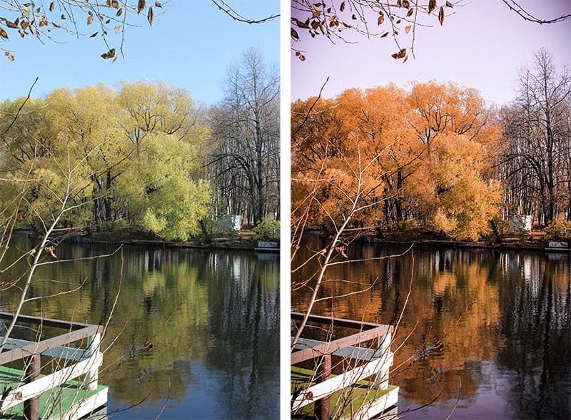 From Raw to Refined: The Journey of a Professional Photo Edit